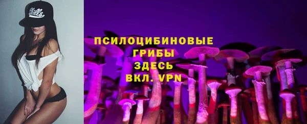 бошки Богородицк