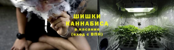 твердый Богданович