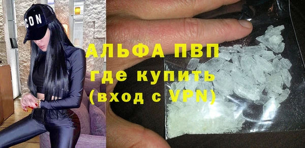 твердый Богданович