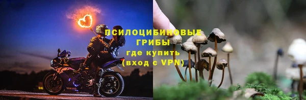 герыч Богородск
