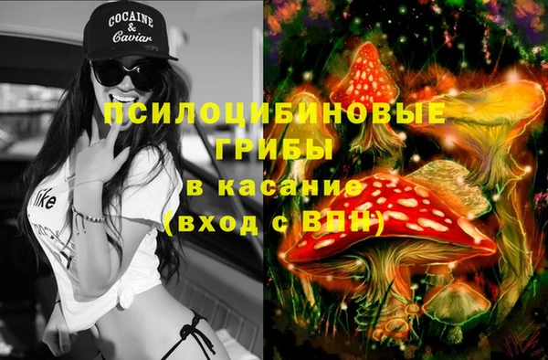 бошки Богородицк