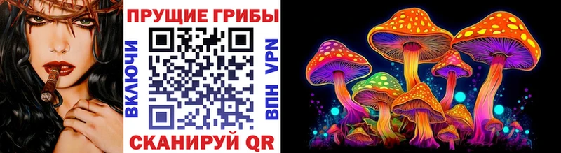 Галлюциногенные грибы GOLDEN TEACHER  купить закладку  Княгинино 